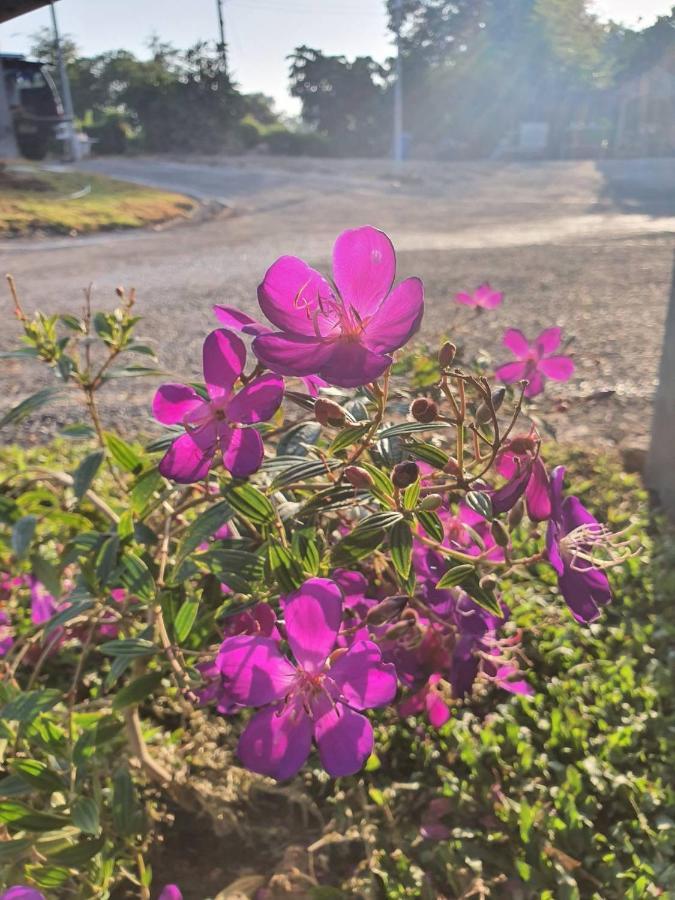 B-Tel Chomthong Resort Chiang Mai Chom Thong Zewnętrze zdjęcie