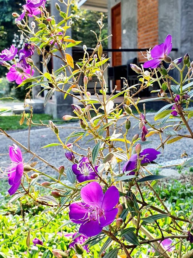 B-Tel Chomthong Resort Chiang Mai Chom Thong Zewnętrze zdjęcie