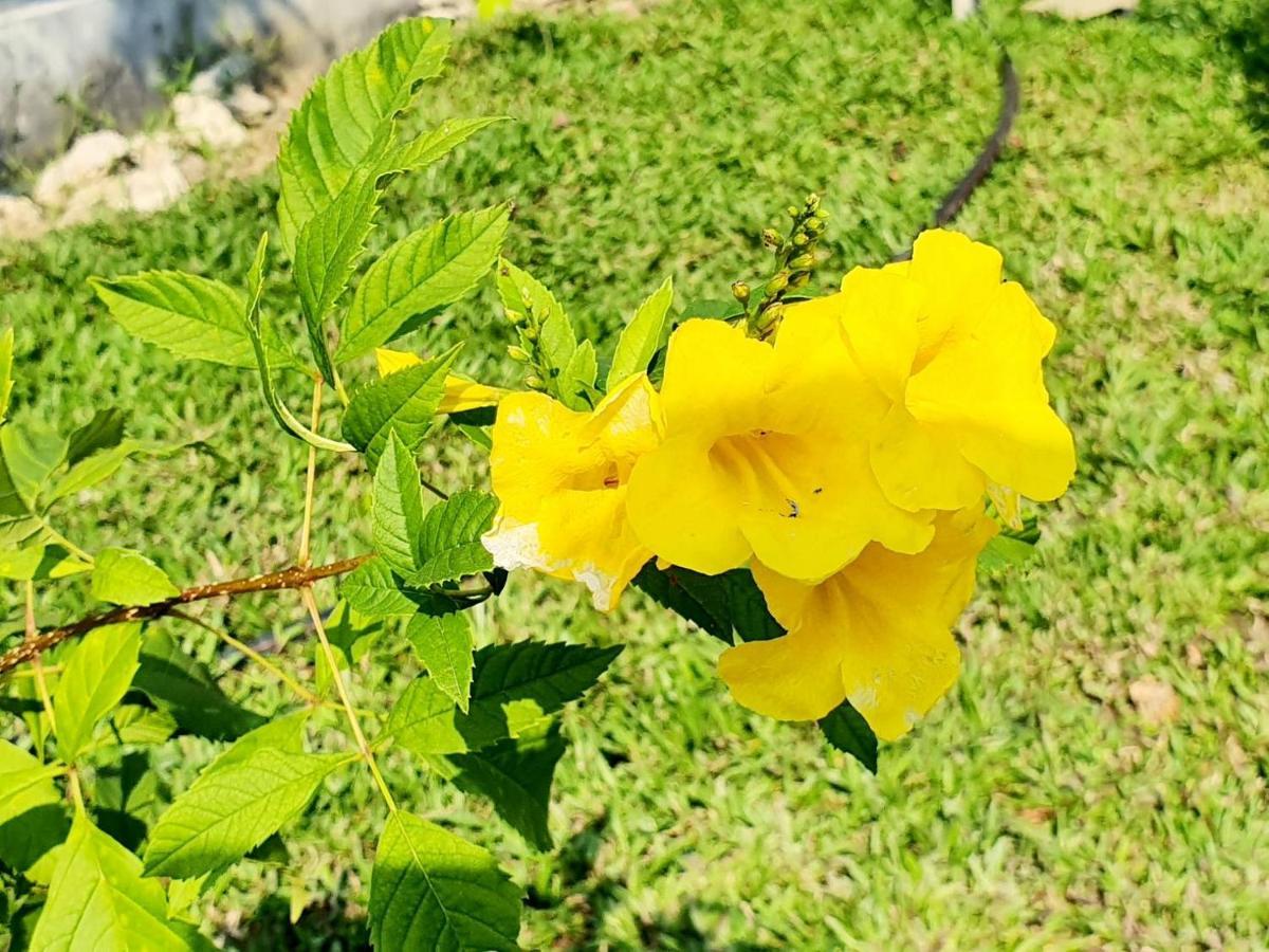 B-Tel Chomthong Resort Chiang Mai Chom Thong Zewnętrze zdjęcie